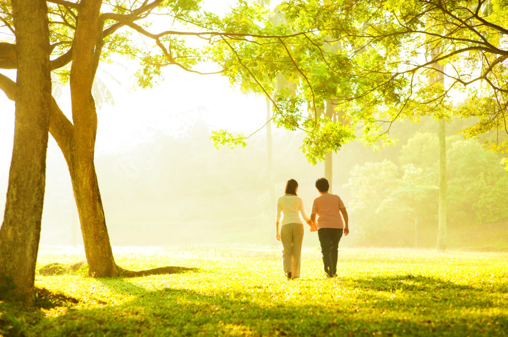 Cremation Services