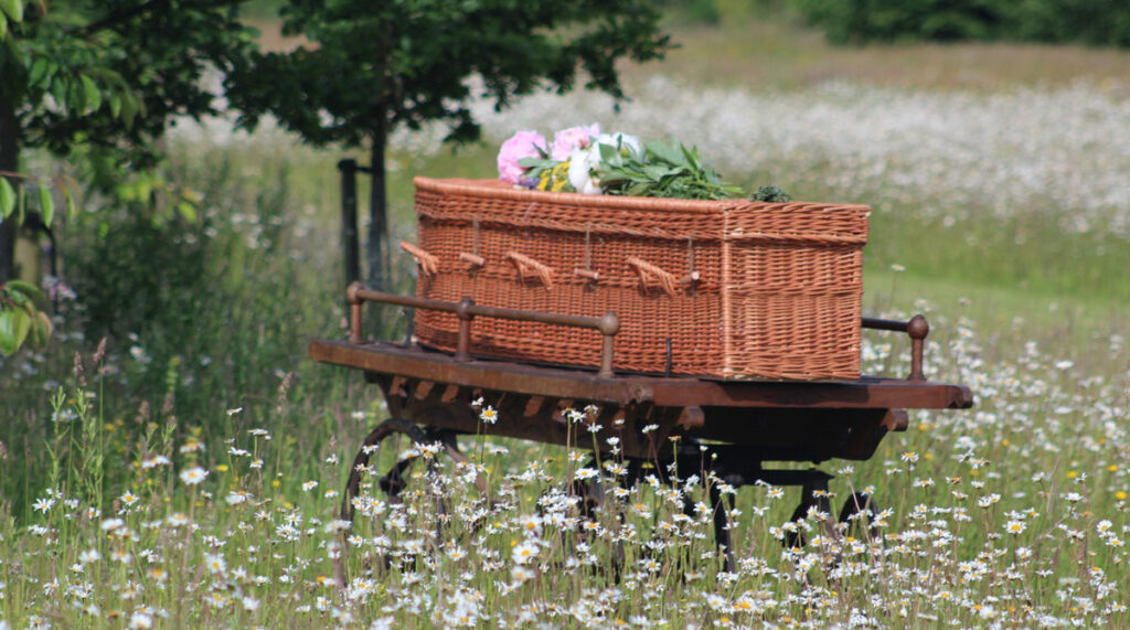 Eco-Friendly Funeral Products: Sustainable Choices for Modern Families 4 natural burial